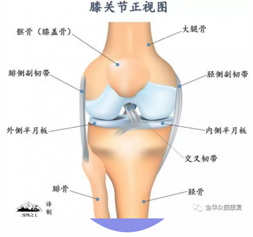 爬山、練太極會(huì)導(dǎo)致膝關(guān)節(jié)疼痛嗎？
