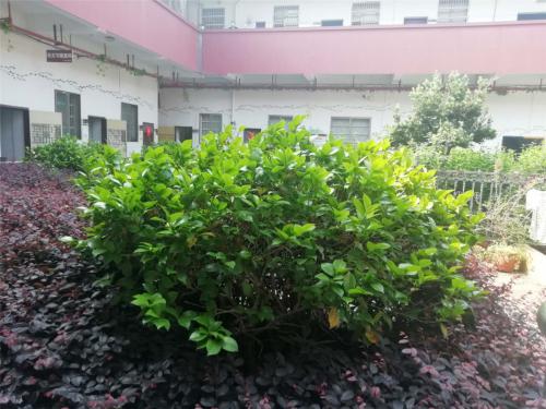 脊椎不好，暗示你的問題有哪些？